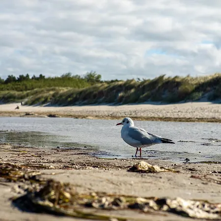 Prázdninový dům Haus De Loop